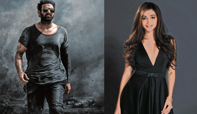 ప్రభాస్‌తో ‘కె.జి.యఫ్‌’ హీరోయిన్‌?