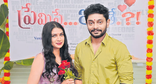 సాఫ్ట్‌వేర్‌ ప్రేమకథ!