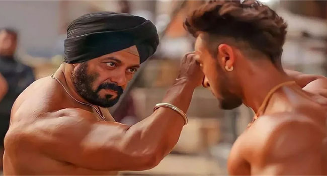 SALMAN KHAN : థియేటర్ లోపల ‘అటువంటి పనులు’ చేయకండి