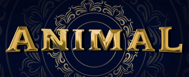 రణ్‌బీర్.. సందీప్ వంగా.. `యానిమల్`!