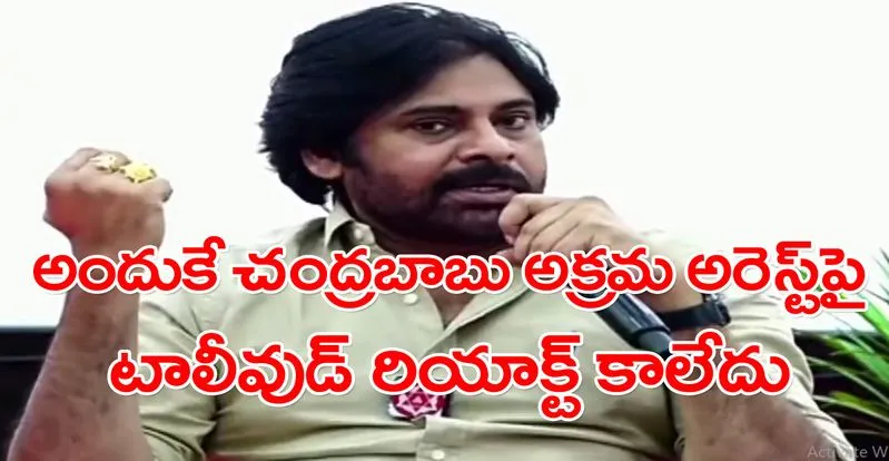 Pawan Kalyan: చంద్రబాబు అక్రమ అరెస్ట్‌పై సినీ ఇండస్ట్రీ స్పందించకపోవడంపై సంచలన వ్యాఖ్యలు