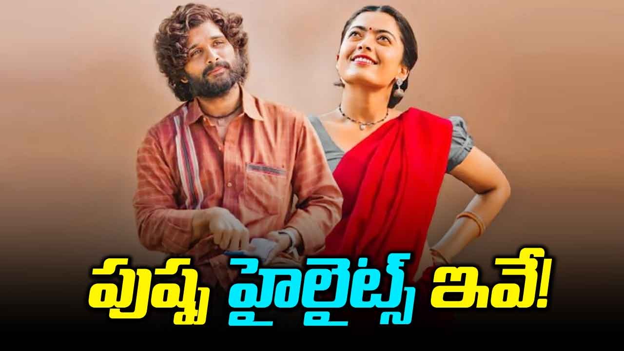 Pushpa 2: షూటింగ్ ఎక్కడెక్కడ ఏమేం చేస్తున్నారంటే!