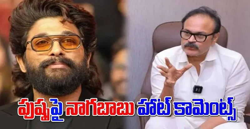 Pushpa 2: పుష్పకి మెగా సపోర్ట్.. థ్యాంక్స్ చెప్పిన బన్నీ