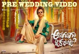Anaganaga Oka Raju: అంబానీలకు మించిన పెళ్లి.. పొట్ట చెక్కలై పోవాల్సిందే