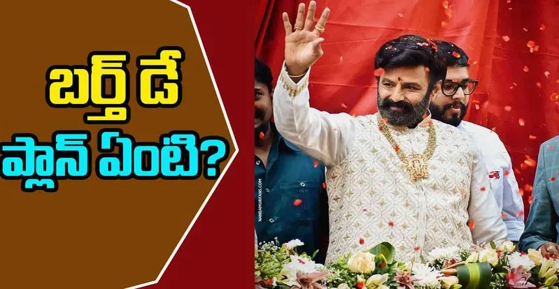 Balakrishna: అరవై ఐదేళ్ళ సంబరాలు ఎలా ఉండబోతున్నాయి...