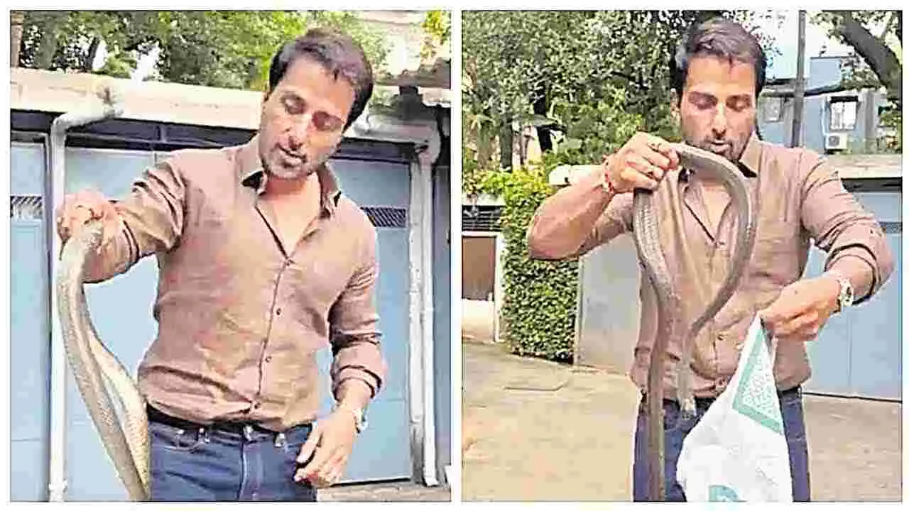 Sonu Sood : ఇంట్లోనే పామును పట్టుకున్న సోను సూద్