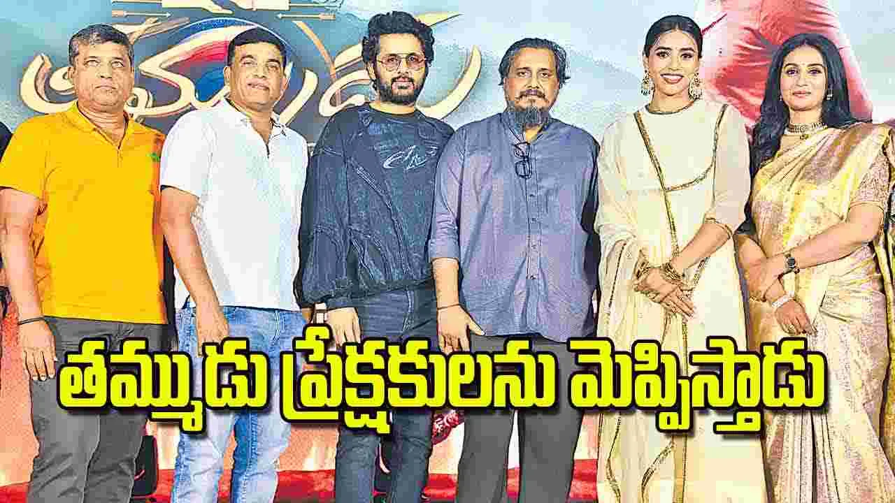 తమ్ముడు ప్రేక్షకులను మెప్పిస్తాడు