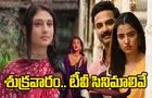 Friday Tv Movies: శుక్ర‌వారం, జూలై 25.. తెలుగు టీవీ ఛాన‌ళ్ల‌లో వ‌చ్చే సినిమాలివే