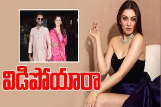 Hansika: ఫ్రెండ్ భర్తతో ప్రేమ పెళ్లి.. మూడేళ్లకే విడాకులు 