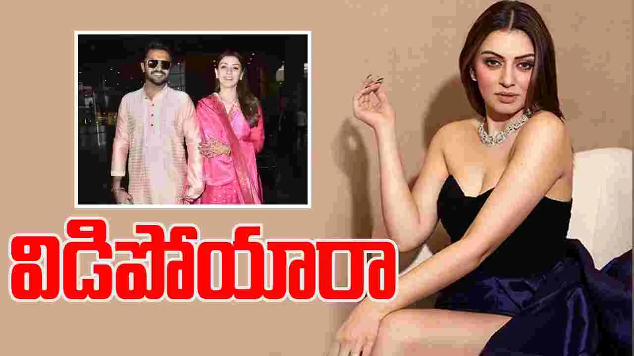 Hansika: ఫ్రెండ్ భర్తతో ప్రేమ పెళ్లి.. మూడేళ్లకే విడాకులు 