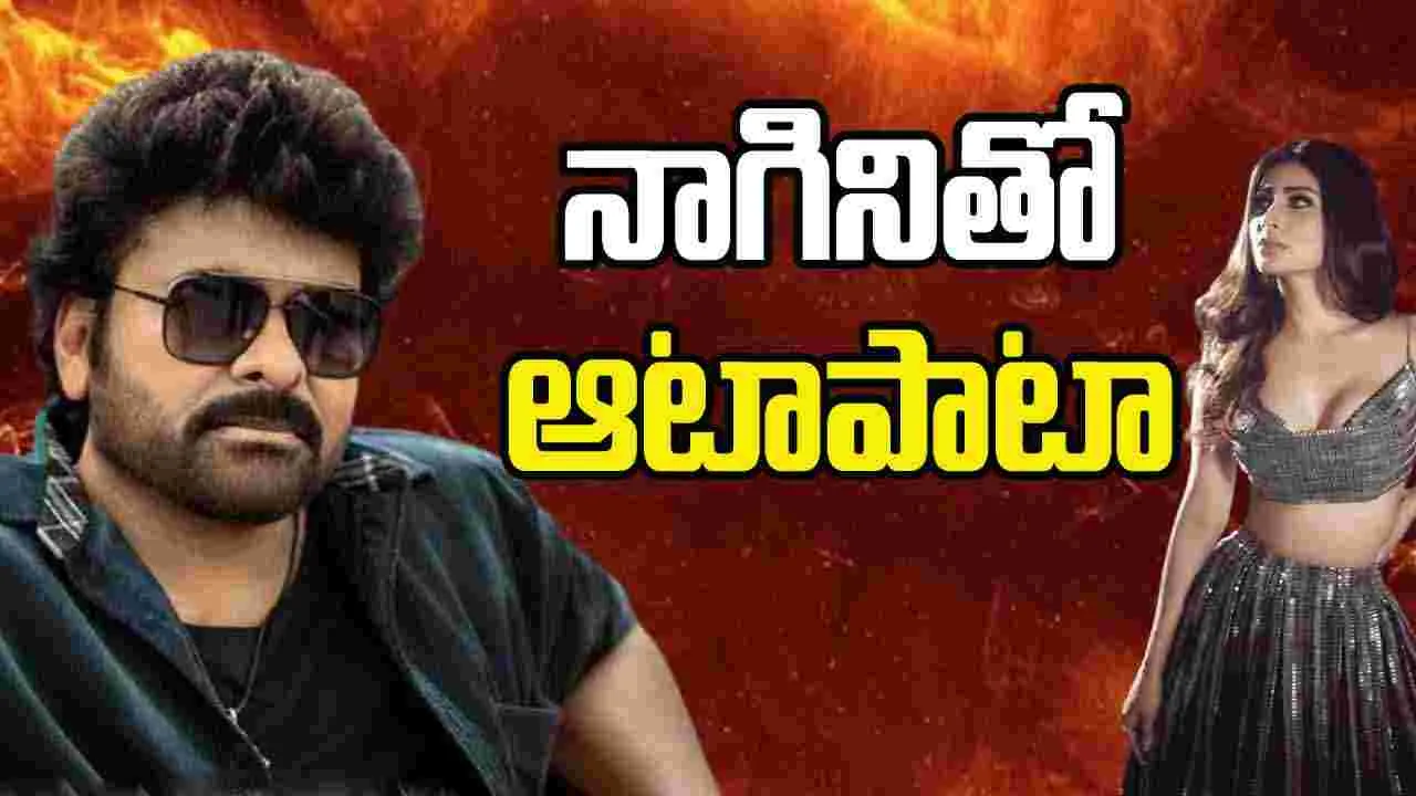 Chiranjeevi: రగులుతోంది మొగలి పొద రీమిక్స్.. నిజమైన నాగినినే దింపుతున్నారుగా