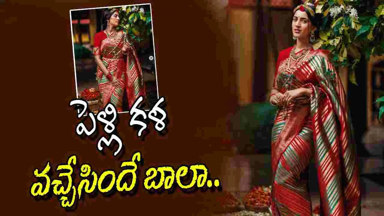 Niharika Konidela: రెండో పెళ్లికి సిద్దమైన మెగా డాటర్