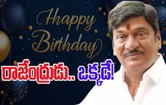 Happy Birthday Rajendra Prasad: తెలుగుతెరపై నవ్వుల పువ్వులు
