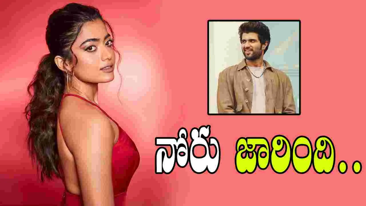 Rashmika Mandanna: ఆ హీరోల నుంచి అవి.. విజయ్ నుంచి అన్నీ కావాలి 