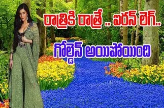 Shruti Haasan: ఆ ఫెయిల్యూర్స్‌ నా వల్ల జరగలేదు.. కానీ నింద నాపైనే..