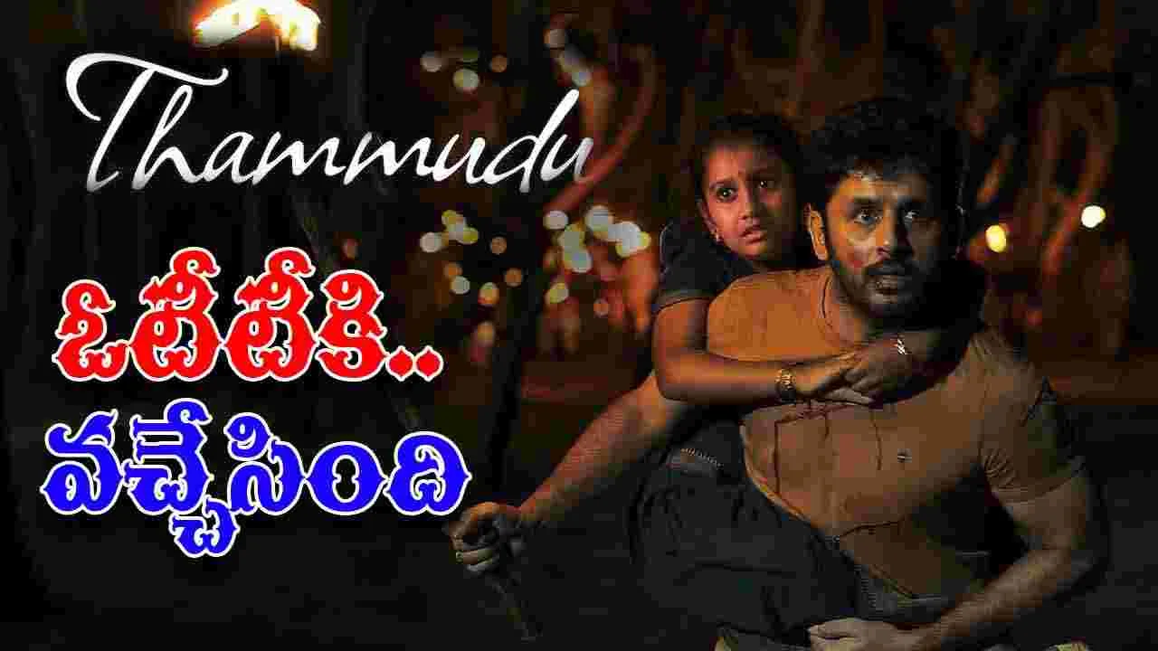 Thammudu OTT: త‌మ్ముడు.. ఇక్క‌డైనా అల‌రిస్తాడా
