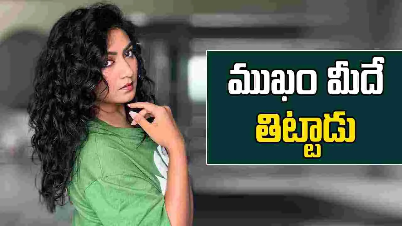 Ashmita Karnani: నార్త్ హీరోయిన్స్ కి క్యారెక్టర్ ఉండదన్నాడు