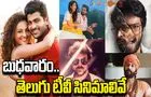 Wednesday Tv Movies: బుధ‌వారం, జూలై 30.. తెలుగు టీవీ ఛాన‌ళ్ల‌లో వ‌చ్చే సినిమాలు