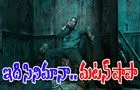 Baaghi 4: మ‌స్తాన్‌.. మ‌ట‌న్ షాప్ బెట‌ర్‌! ఆ న‌రుకుడేందిరా.. ఇదెక్క‌డి చండాలం రా నాయ‌నా
