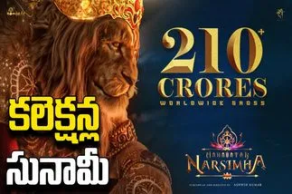 Mahavatar Narsimha: దుమ్మురేపుతున్న మహావతార్‌ నరసింహ
