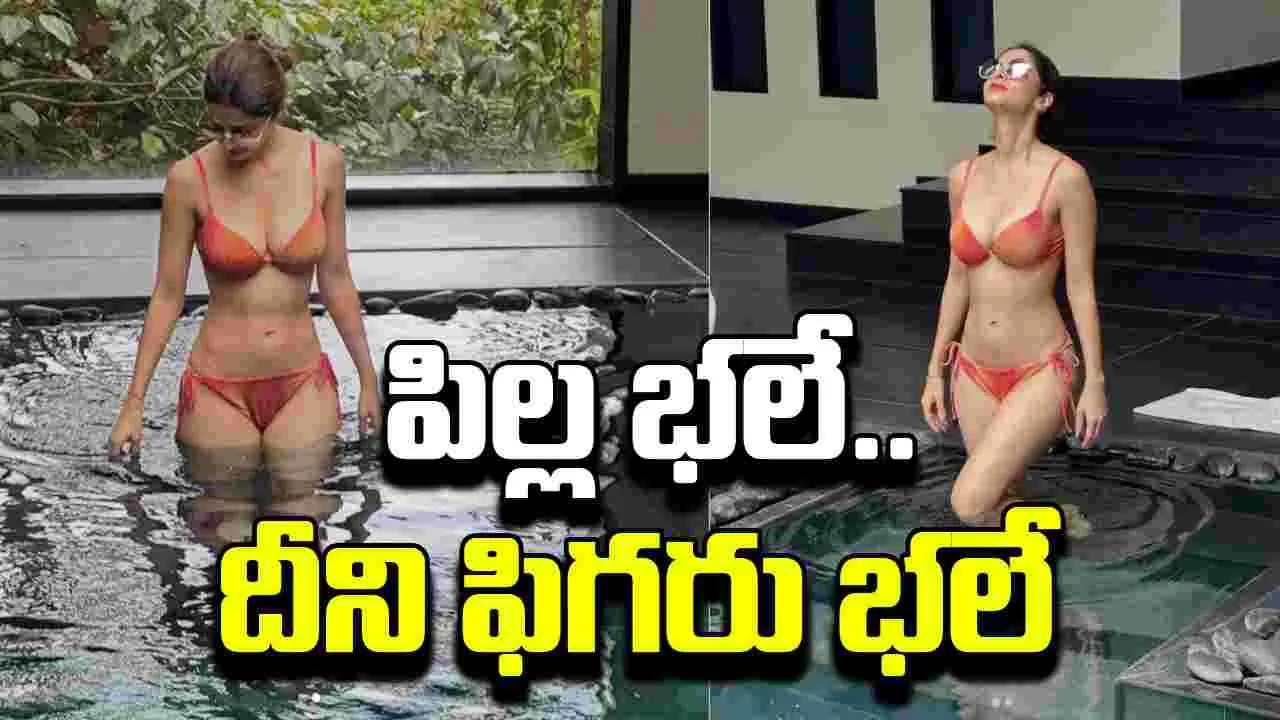 Vedhika: బికినీలో వేదిక.. కుర్రాళ్లకు నిద్ర పట్టేలా లేదికా