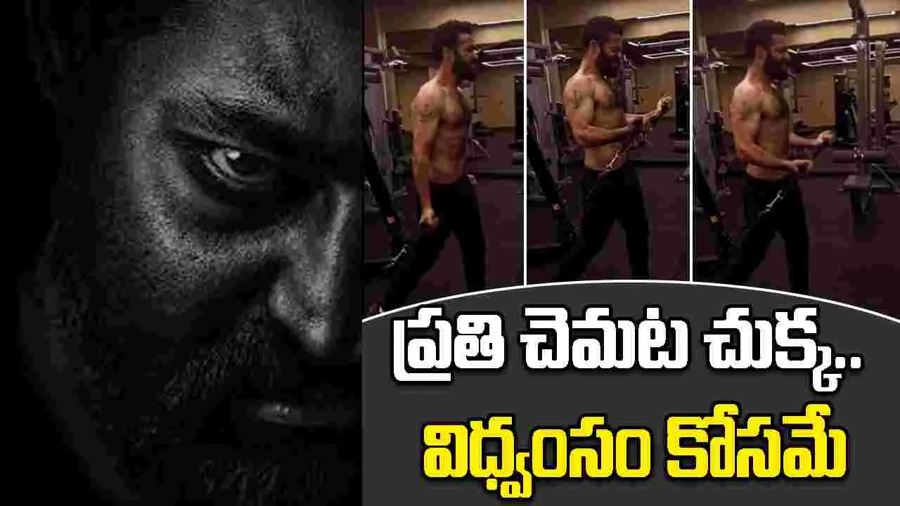 NTR: డ్రాగన్.. విధ్వంసం కోసం సిద్ధం