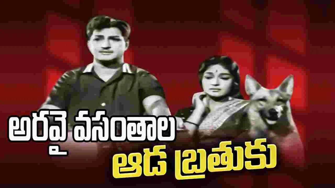 NTR: సిల్వర్ జూబ్లీ మూవీ 'ఆడబ్రతుకు' 