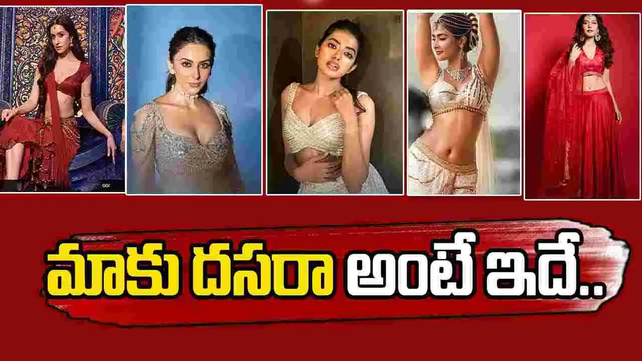 Dussehra Celebrations: దుర్గ పూజలు... దాండియా ఆటలు...