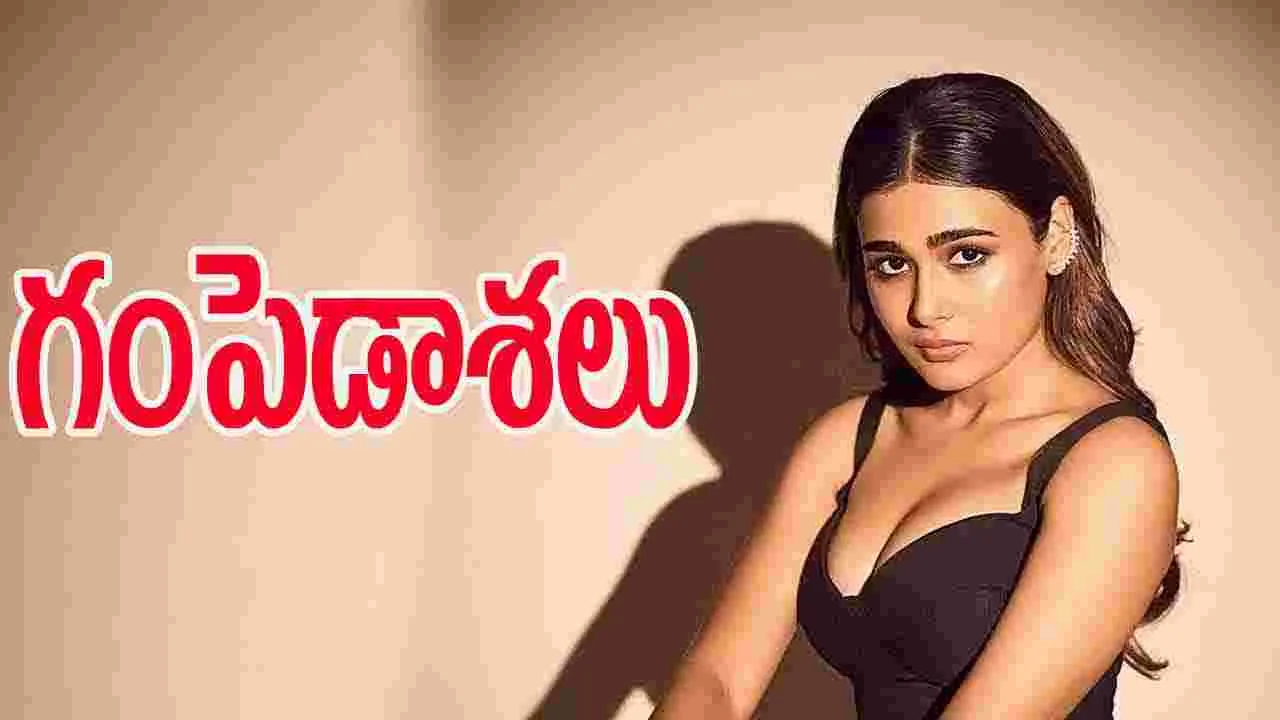 Shalini Pandey: ఈసారైనా షాలినికి అదృష్టం కలిసొస్తుందా.. 