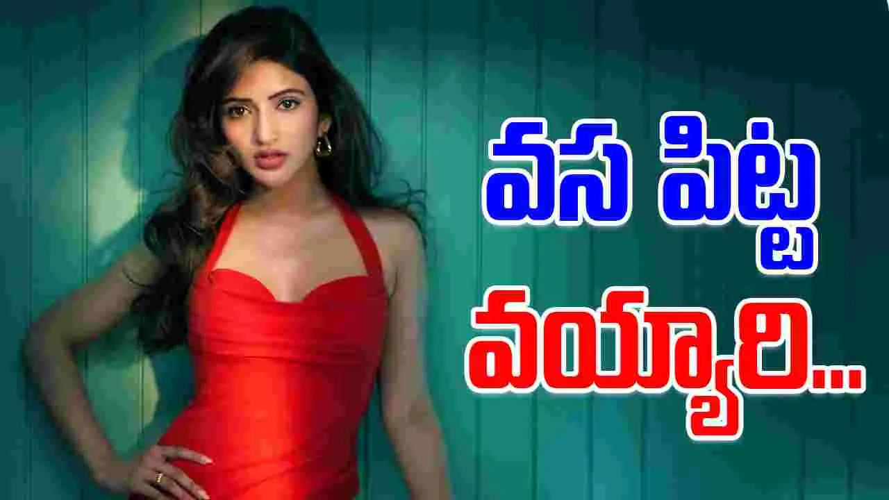 Sree Leela: ఎంత అలసిపోయినా అది చేస్తే మాత్రం.. ఎనర్జీ వచ్చేస్తుంది 