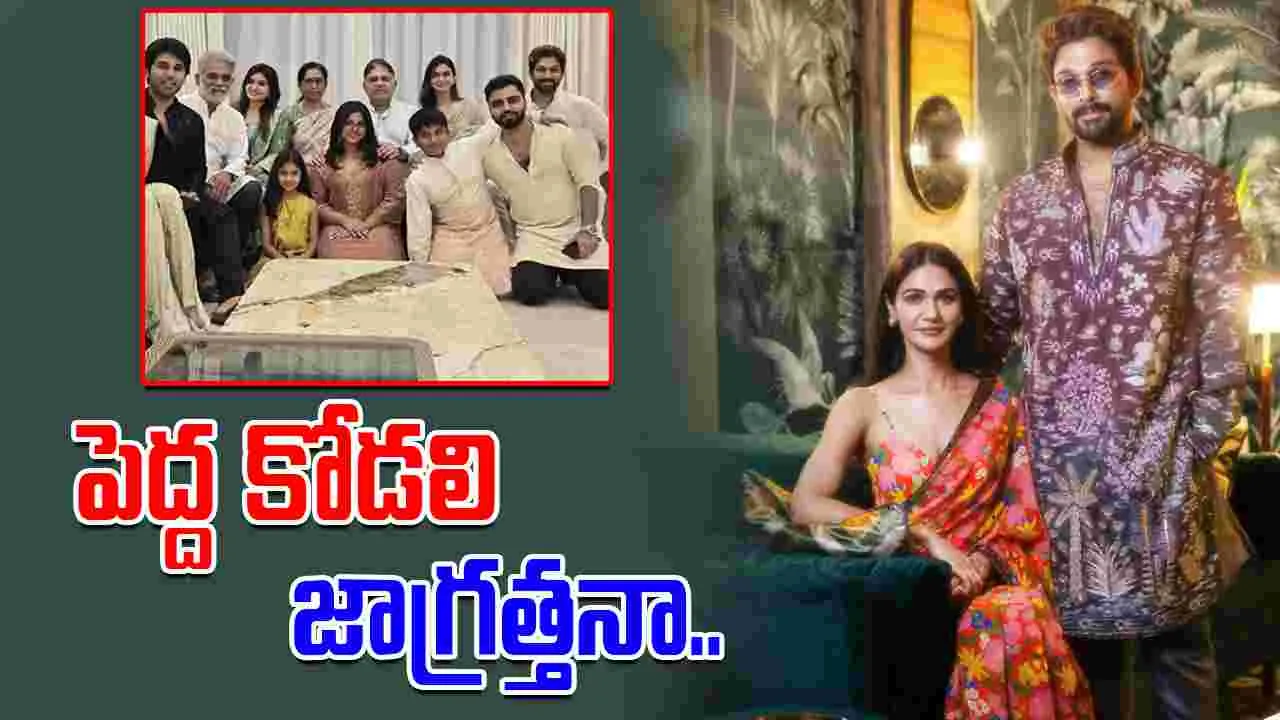 Allu Sneha Reddy : పెళ్లి కూడా కాలేదు.. అప్పుడే తోడికోడలిని సైడ్ చేసిన అల్లు అర్జున్ భార్య