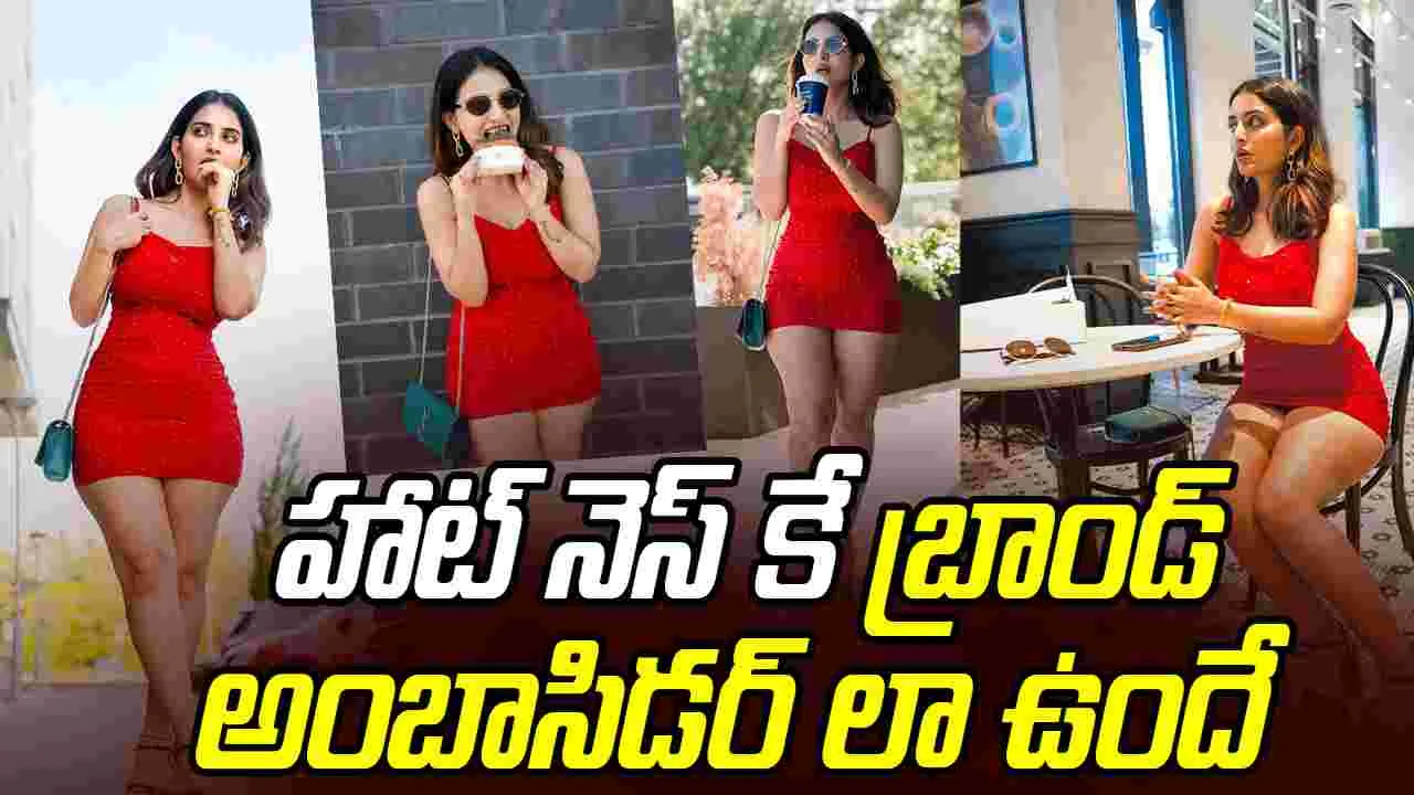Ananya Nagalla: తెలుగమ్మాయి థైస్ షో.. అబ్బబ్బా ఏముందిరా బాబు