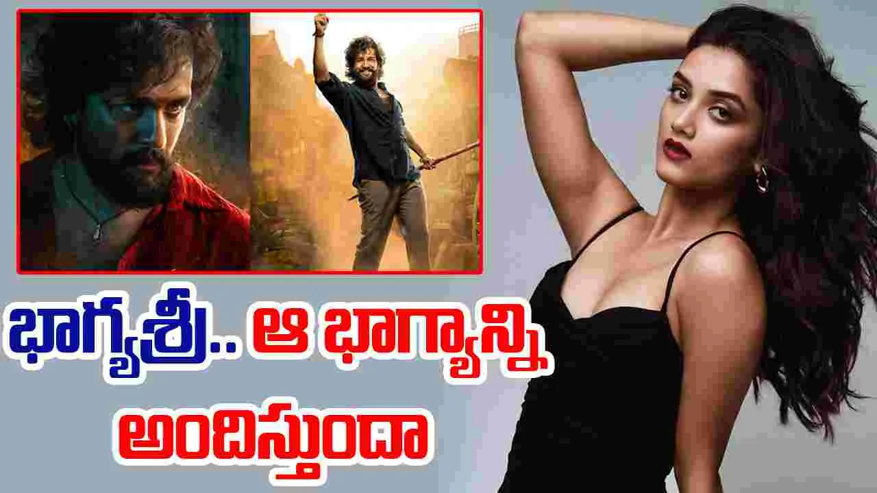 Akhil Akkineni: లెనిన్ కోసం అయ్యగారు..  మంచి హీరోయిన్నే పట్టారు