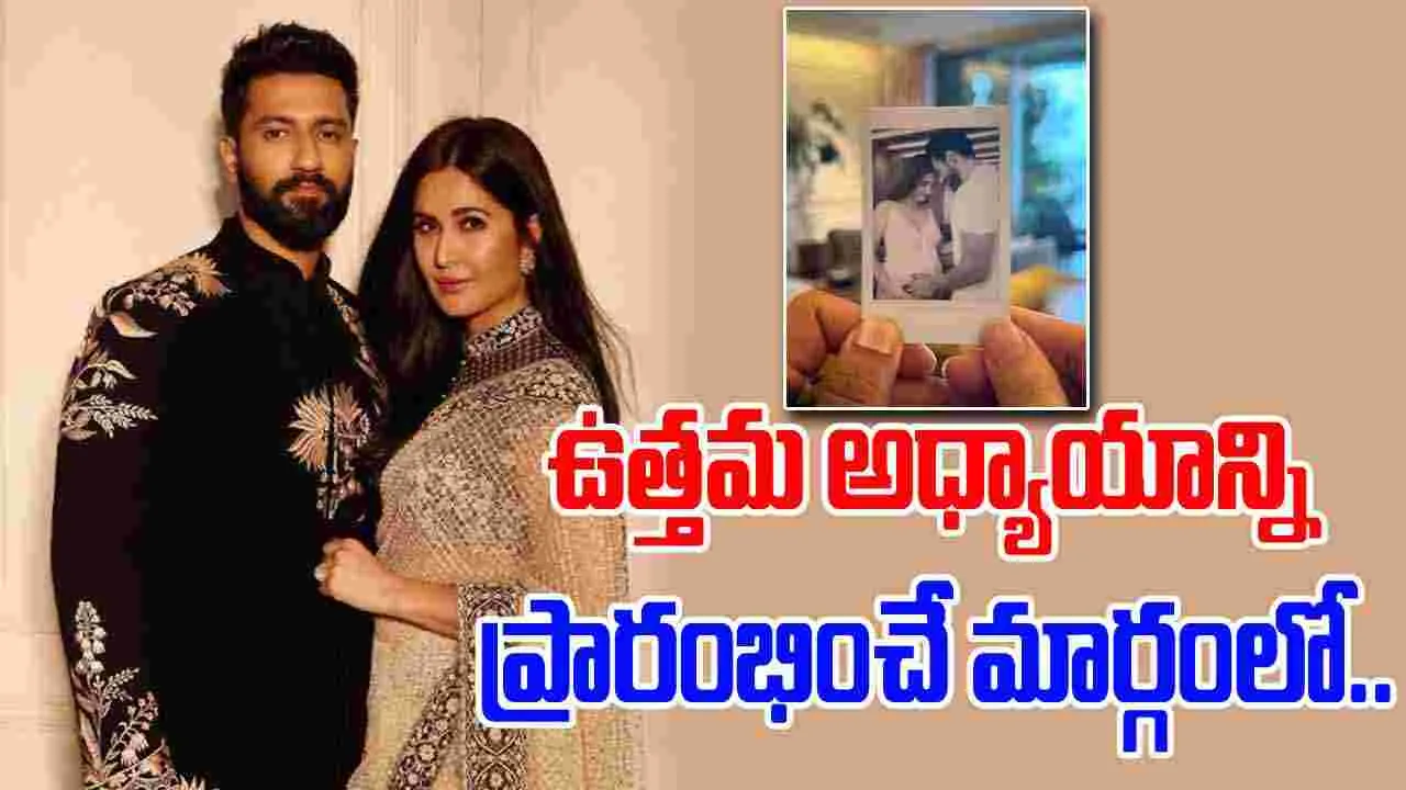 Katrina Kaif: ఎట్టకేలకు.. ప్రెగ్నెన్సీ కన్ఫర్మ్ చేసిన కత్రీనా