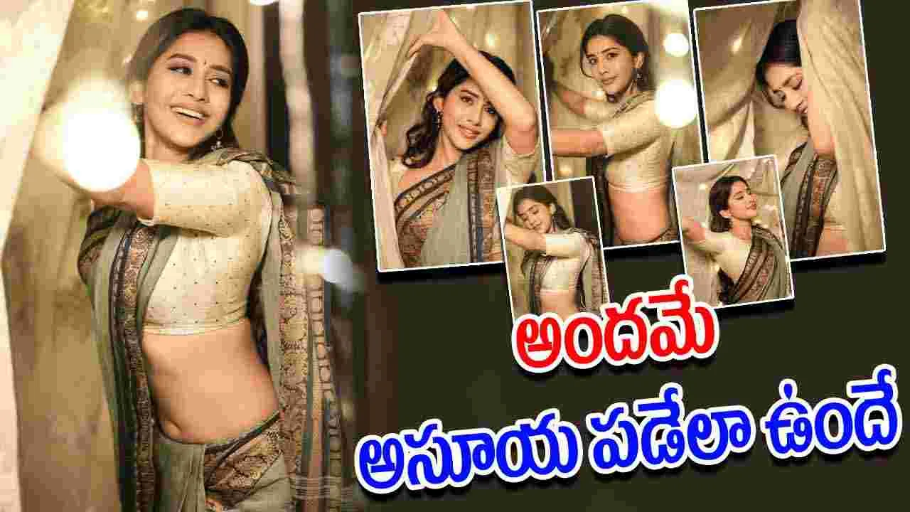 Nabha Natesh: చిట్టి నడుమునే చూపి.. చిత్రహింసలు పెడుతుందే