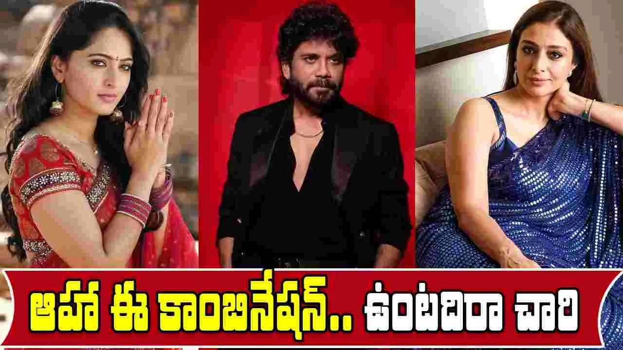 King 100: నాగార్జున 100వ సినిమా.. హీరోయిన్లుగా ట‌బు, అనుష్క‌! మ‌ధ్య‌లో ఆ భామ‌