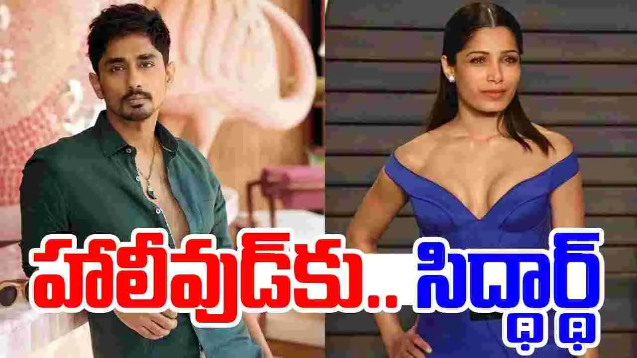 Siddharth: హాలీవుడ్‌.. వెబ్ సిరీస్‌లో సిద్ధార్థ్