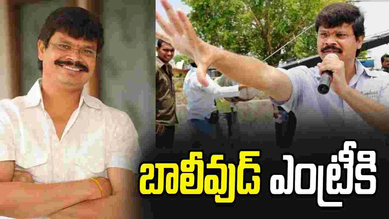Boyapati Srinu: మాస్ డైరెక్టర్ కొత్త రూట్..  నెక్స్ట్ స్టెప్  ఎటువైపు