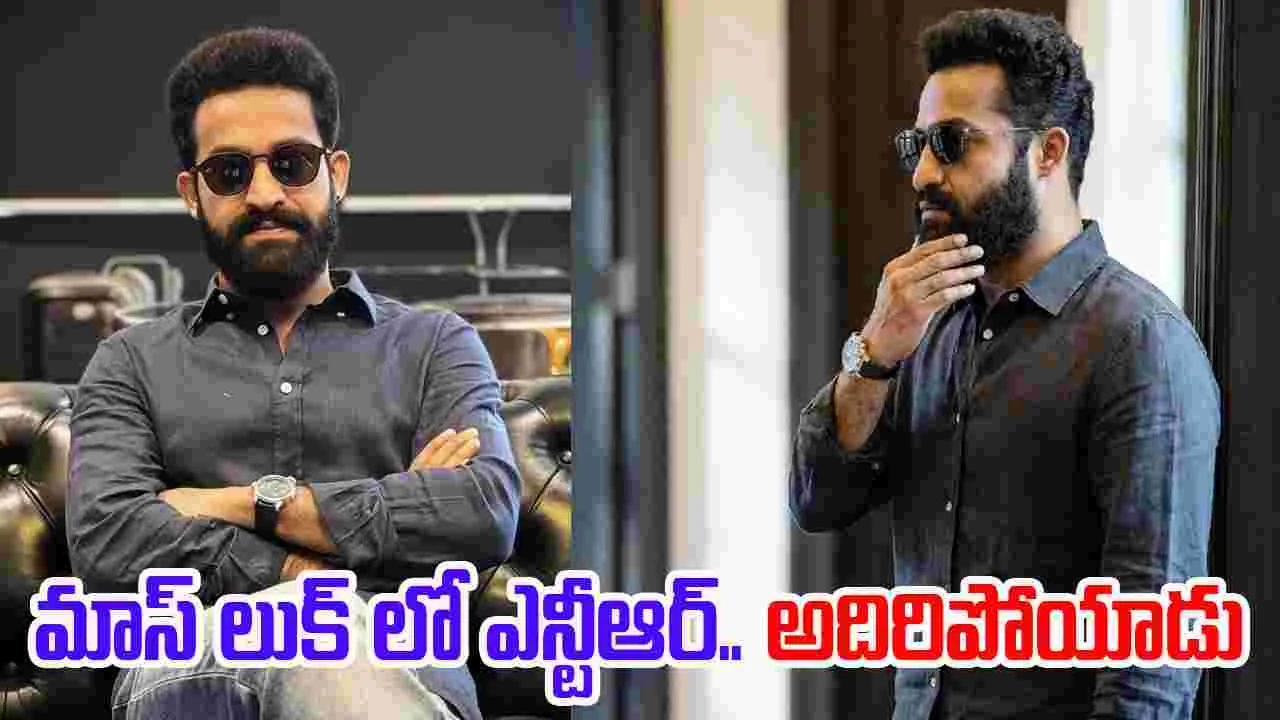 NTR: గంగిరెడ్డి.. అల్లుడు అదిరిపోయాడు..రాసి పెట్టుకో