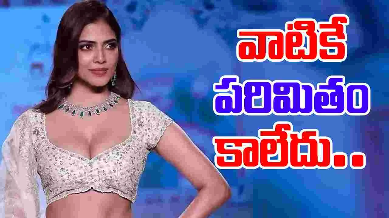 Malavika Mohanan: స్టార్‌ హీరోల సినిమాల్లో నాలుగైదు సీన్సే ఉంటాయనుకున్నా..