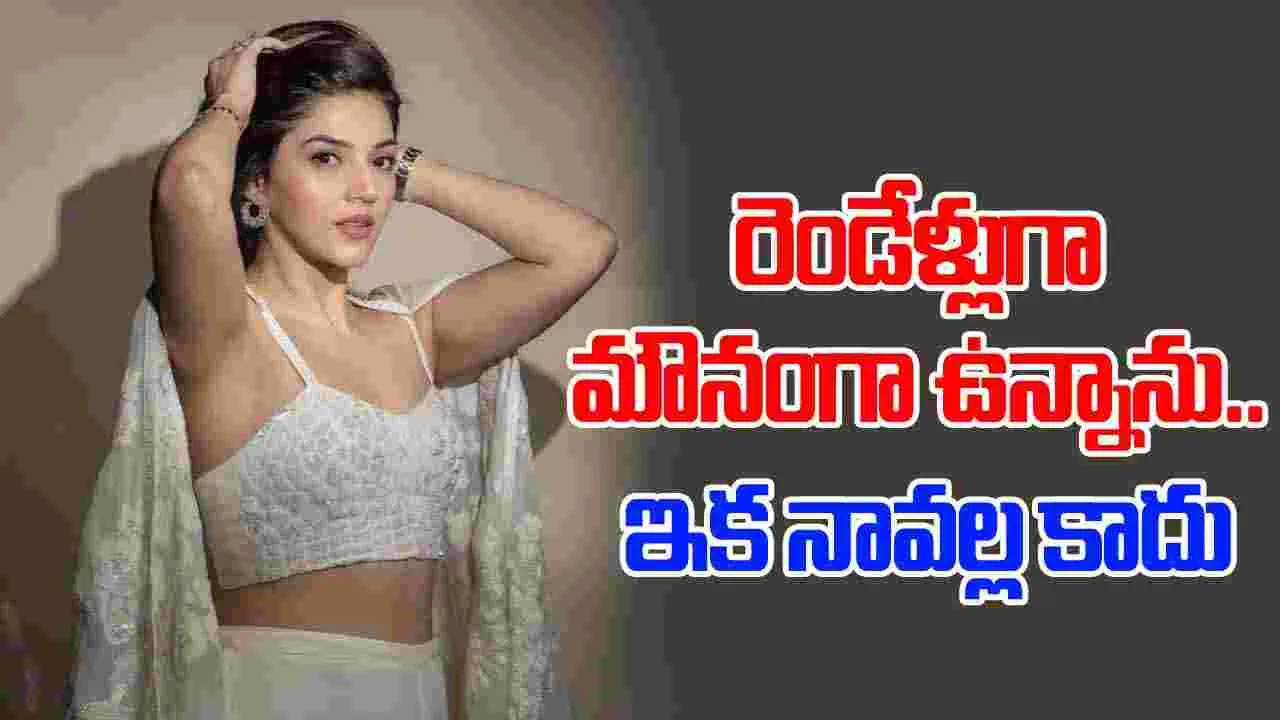 Mehreen Pirzada: మెహ్రీన్ సీక్రెట్ పెళ్లి.. ఆ నీచుడి పనే ఇది