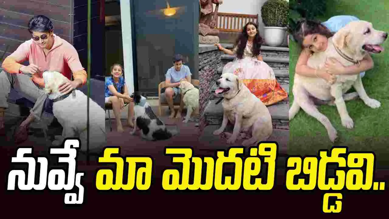 Mahesh Babu: మహేష్ బాబు ఇంట విషాదం.. నమ్రత పోస్ట్ వైరల్