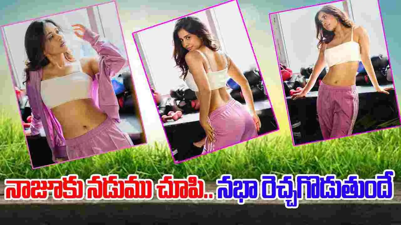 చిట్టి నడుమునే చూపి.. చిత్రహింసలు పెడుతుందే