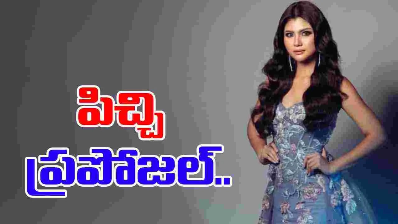 Amy Nur Tinie: నా తండ్రి వయస్సు.. మూడో భార్యగా వస్తావా.. నెలకు 11 లక్షలు ఇస్తా అన్నాడు