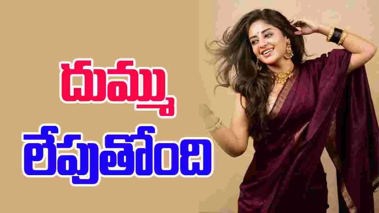 Deepshikha Chandran: క్వీన్ ఆఫ్ మార్క్ దీప్శిఖా చంద్రన్  