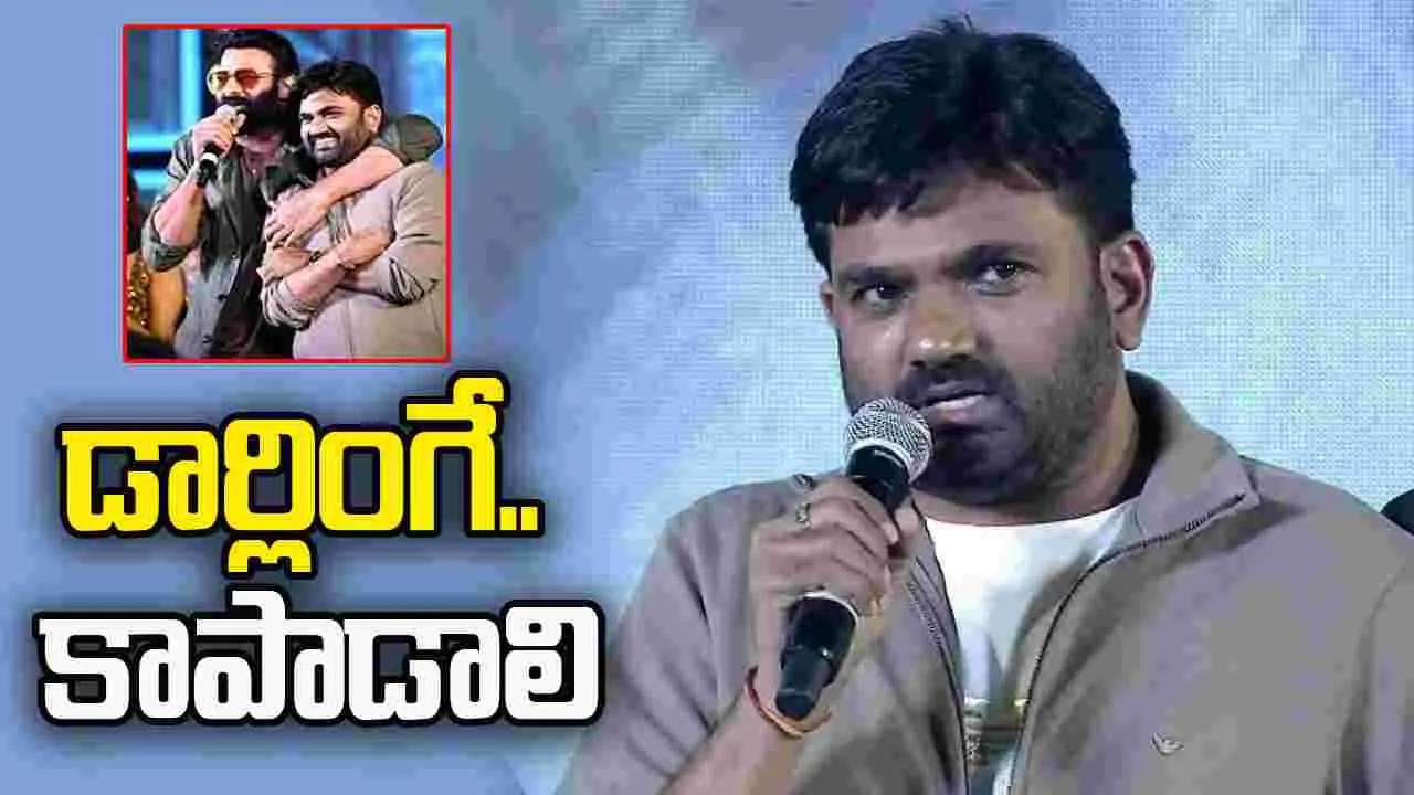Director Maruthi: ఇంకా మారుతిని వదలని ప్రభాస్ ఫ్యాన్స్.. ఏంటయ్యా ఈ అరాచకం