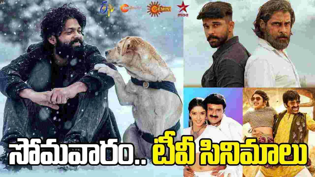 Monday Tv Movies: సోమ‌వారం, Jan 19.. తెలుగు టీవీ ఛాన‌ళ్ల‌లో వ‌చ్చే సినిమాలు
