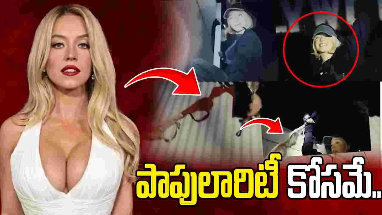 Sydney Sweeney: హాలీవుడ్ బోర్డుపై బ్రా ప్రమోషన్స్.. నటిపై క్రిమినల్ కేసు