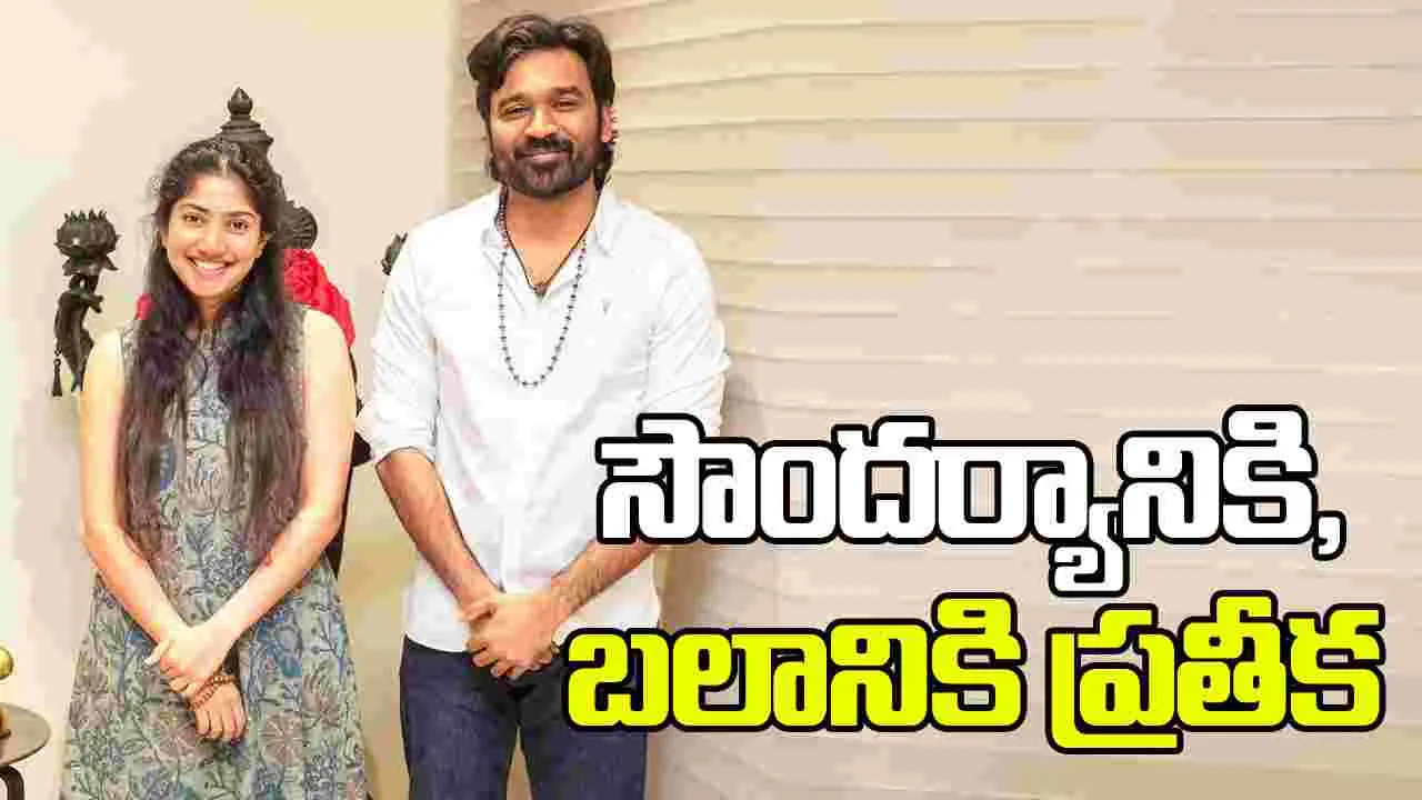 Sai Pallavi: ‘మారి 2’ తర్వాత మరోసారి.. జత కట్టారు 