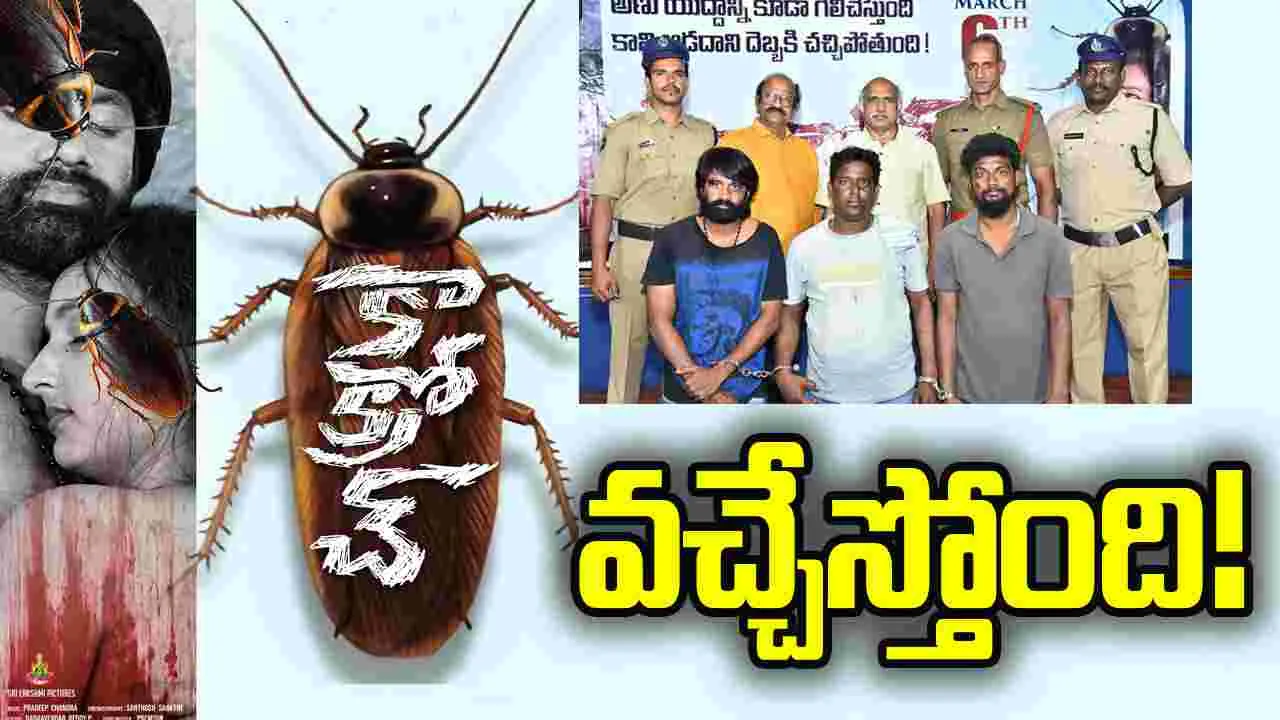 రియలిస్టిక్, వయలెంట్ లవ్ స్టోరీగా 'కాక్రోచ్'